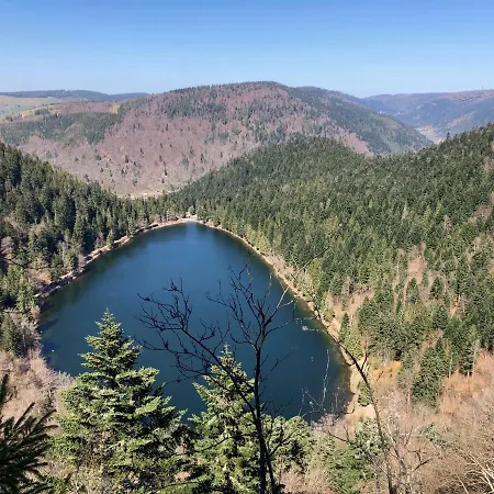 Appartamento Vue Panoramique - 800m Pistes Hohneck - Wifi - Classé 3 étoiles *