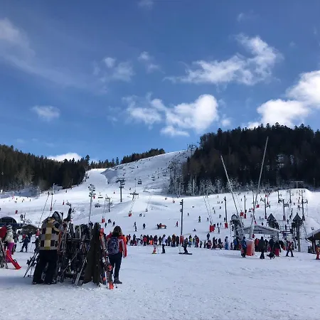 Apartment Vue Panoramique - 800m Pistes Hohneck - Wifi - Classe 3 Etoiles La Bresse