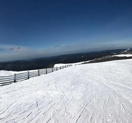 Appartamento Vue Panoramique - 800m Pistes Hohneck - Wifi - Classé 3 étoiles *