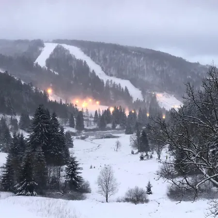 Vue Panoramique - 800m Pistes Hohneck - Wifi - Classé 3 étoiles *