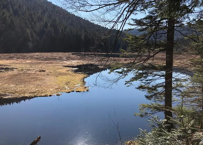 Vue Panoramique - 800m Pistes Hohneck - Wifi - Classe 3 Etoiles La Bresse