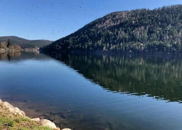 Vue Panoramique - 800m Pistes Hohneck - Wifi - Classe 3 Etoiles