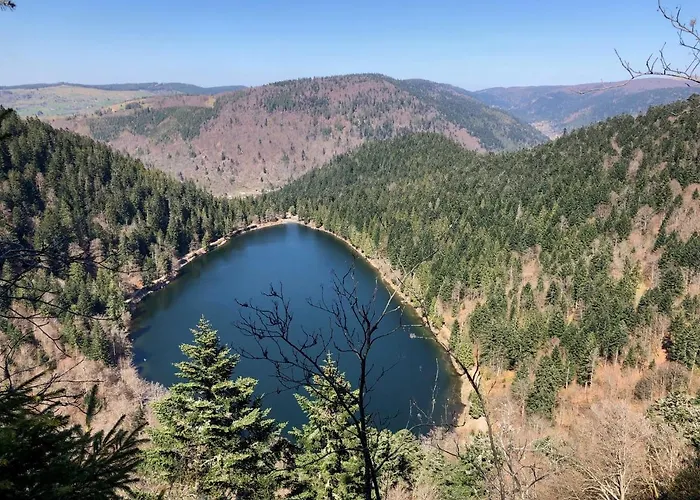 Apartmán Vue Panoramique - 800m Pistes Hohneck - Wifi - Classe 3 Etoiles *