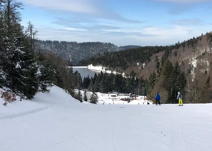 Apartmán Vue Panoramique - 800m Pistes Hohneck - Wifi - Classe 3 Etoiles La Bresse