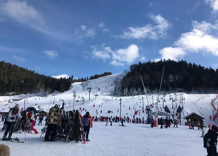 Apartmán Vue Panoramique - 800m Pistes Hohneck - Wifi - Classe 3 Etoiles La Bresse