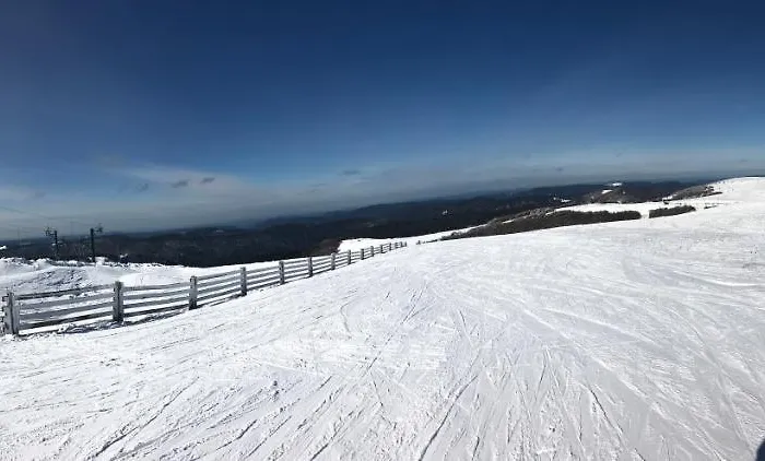 Apartmán Vue Panoramique - 800m Pistes Hohneck - Wifi - Classe 3 Etoiles *