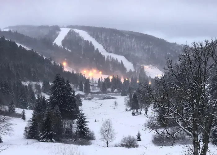 Vue Panoramique - 800m Pistes Hohneck - Wifi - Classe 3 Etoiles *