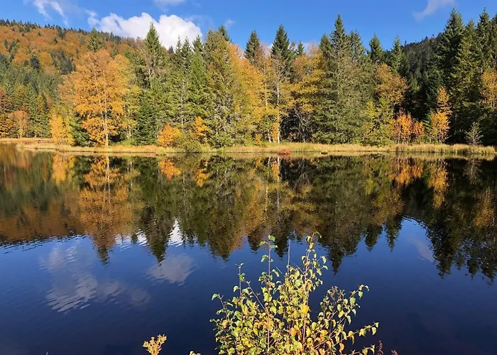 Vue Panoramique - 800m Pistes Hohneck - Wifi - Classe 3 Etoiles Apartmán *
