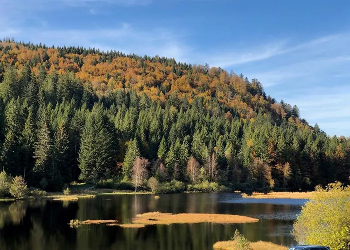 Apartmán Vue Panoramique - 800m Pistes Hohneck - Wifi - Classe 3 Etoiles La Bresse